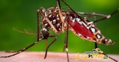 Colegios de Villavicencio se unen en la prevención contra el dengue Colegios de Villavicencio se unen en la prevención contra el dengue