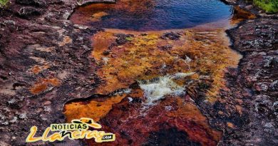 Pendientes: convocatoria del Instituto de Turismo de Villavicencio para viajar gratis al Guaviare Pendientes: convocatoria del Instituto de Turismo de Villavicencio para viajar gratis al Guaviare